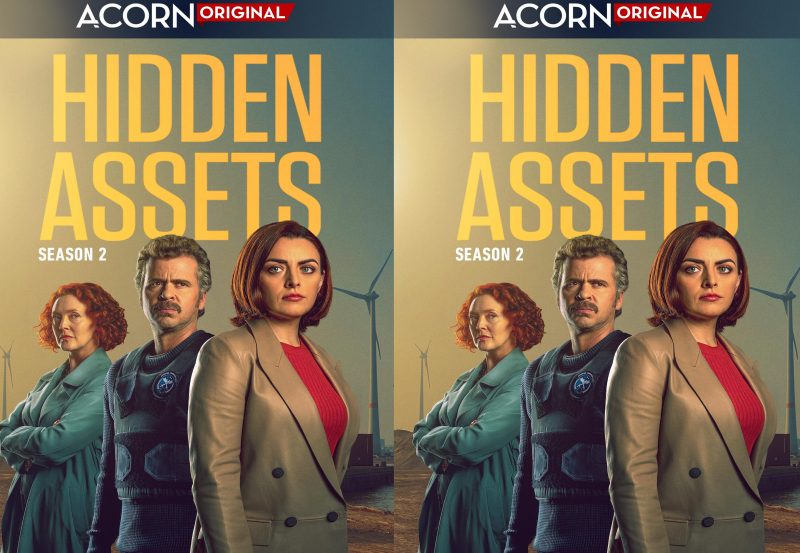 Hidden Assets (2021) Complete 1st Season Region Free DVD