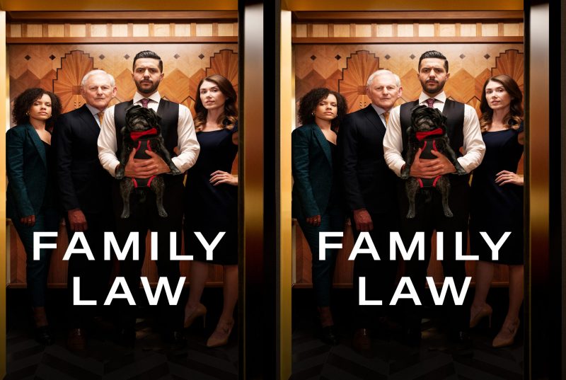 Family Law Complete 1st Season (2021) Region Free Blu-Ray