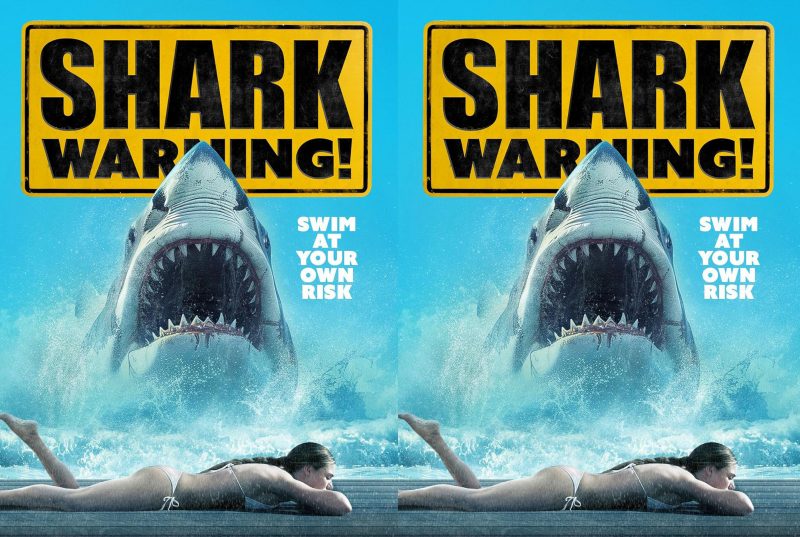 Shark Warning (2024) Region Free Blu-Ray