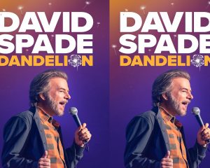 David Spade Dandelion (2025) DVD