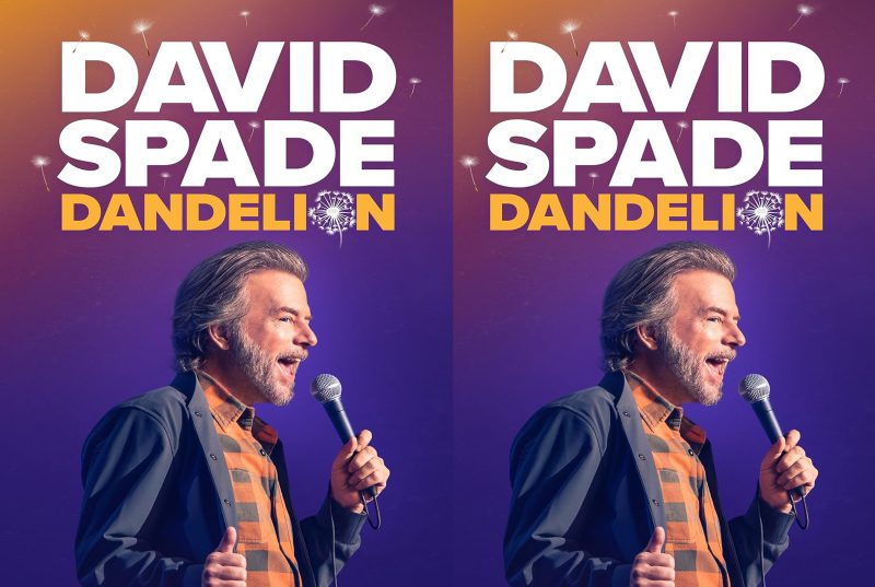 David Spade Dandelion (2025) DVD