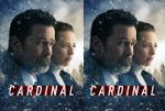 Cardinal (2020) Complete 4th Season DVD