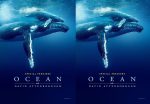 Ocean with David Attenborough (2025) DVD