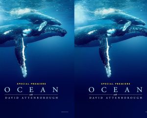 Ocean with David Attenborough (2025) DVD