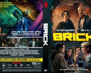 Brick (2025) DVD