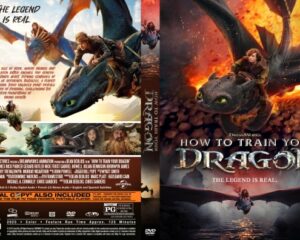 Double-sided How to Train Your Dragon DVD cover: dragon rider in flames on the right and a collage of characters on the left.