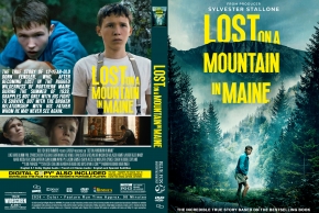 DVD cover for Lost in a Mountain in Maine: a forest scene with a boy in the woods and a collage of young men on the left; bold yellow title.