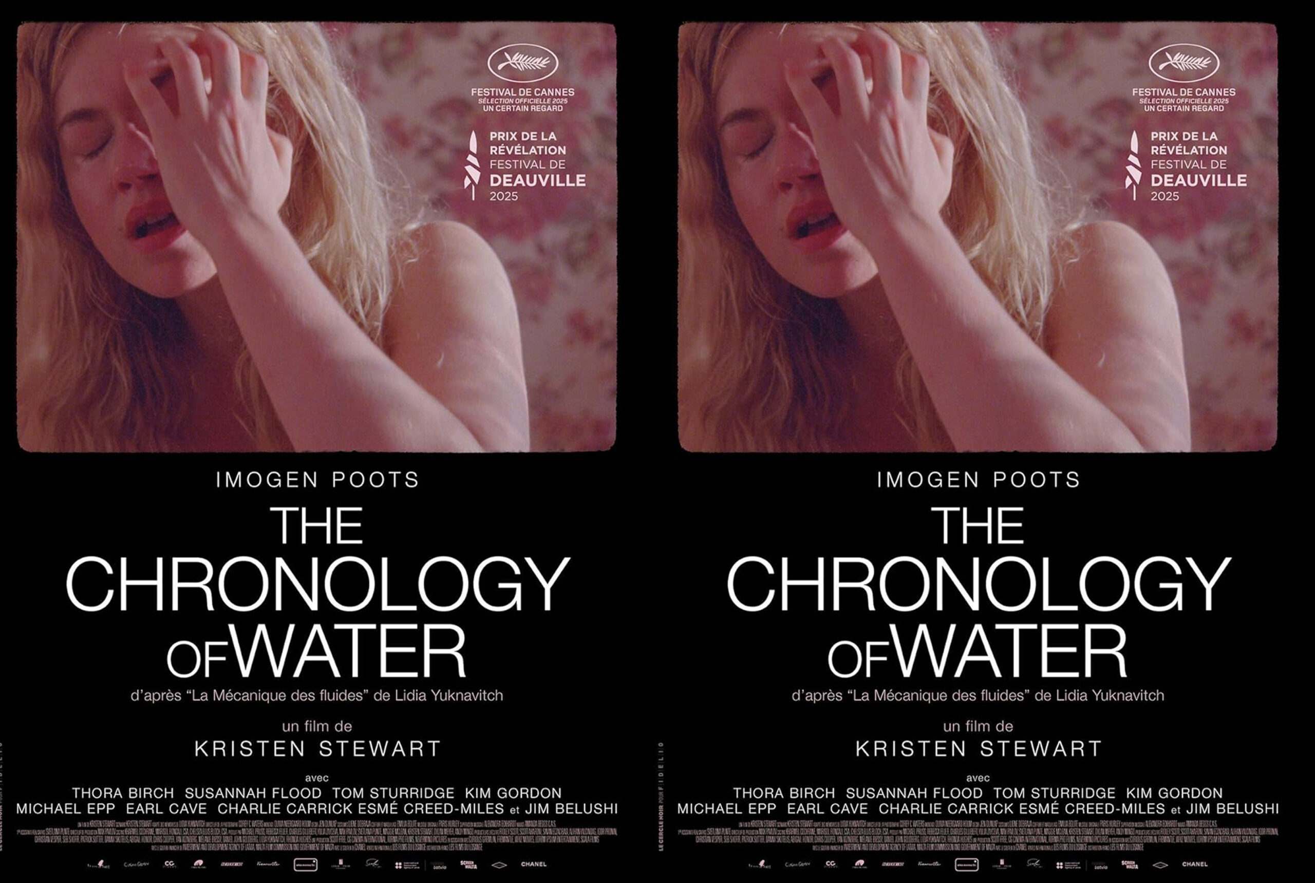 The Chronology of Water (2025) DVD