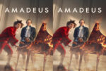 Amadeus (2025) Complete 1st Season DVD