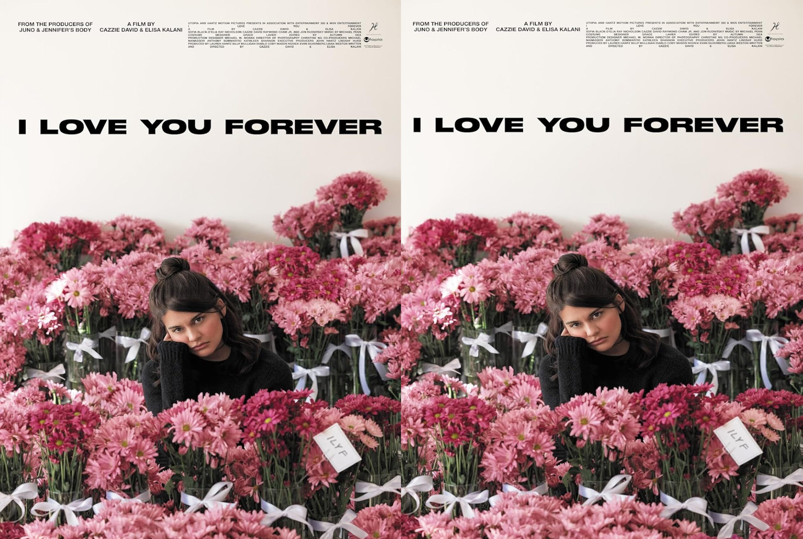 I Love You Forever (2024) DVD
