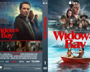 Widows Bay DVD cover featuring an ensemble of characters on a blue seascape with a red title.