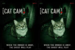 Cat Cam (2026) - Blu-Ray/ DVD / USB