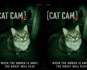 Cat Cam (2026) - Blu-Ray/ DVD / USB