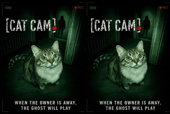 Cat Cam (2026) - Blu-Ray/ DVD / USB