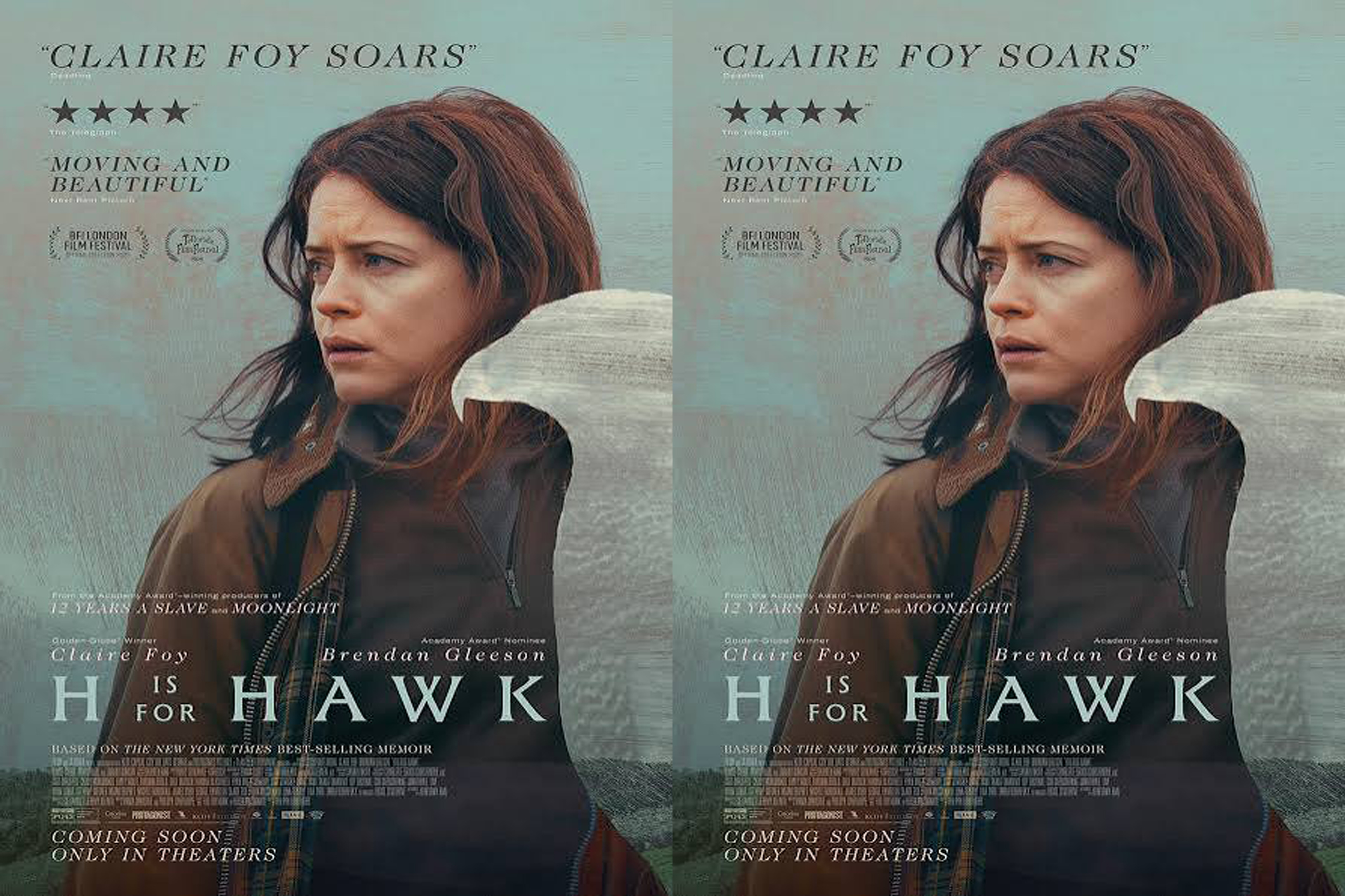 H is for Hawk (2026) - Blu-Ray/ DVD / USB